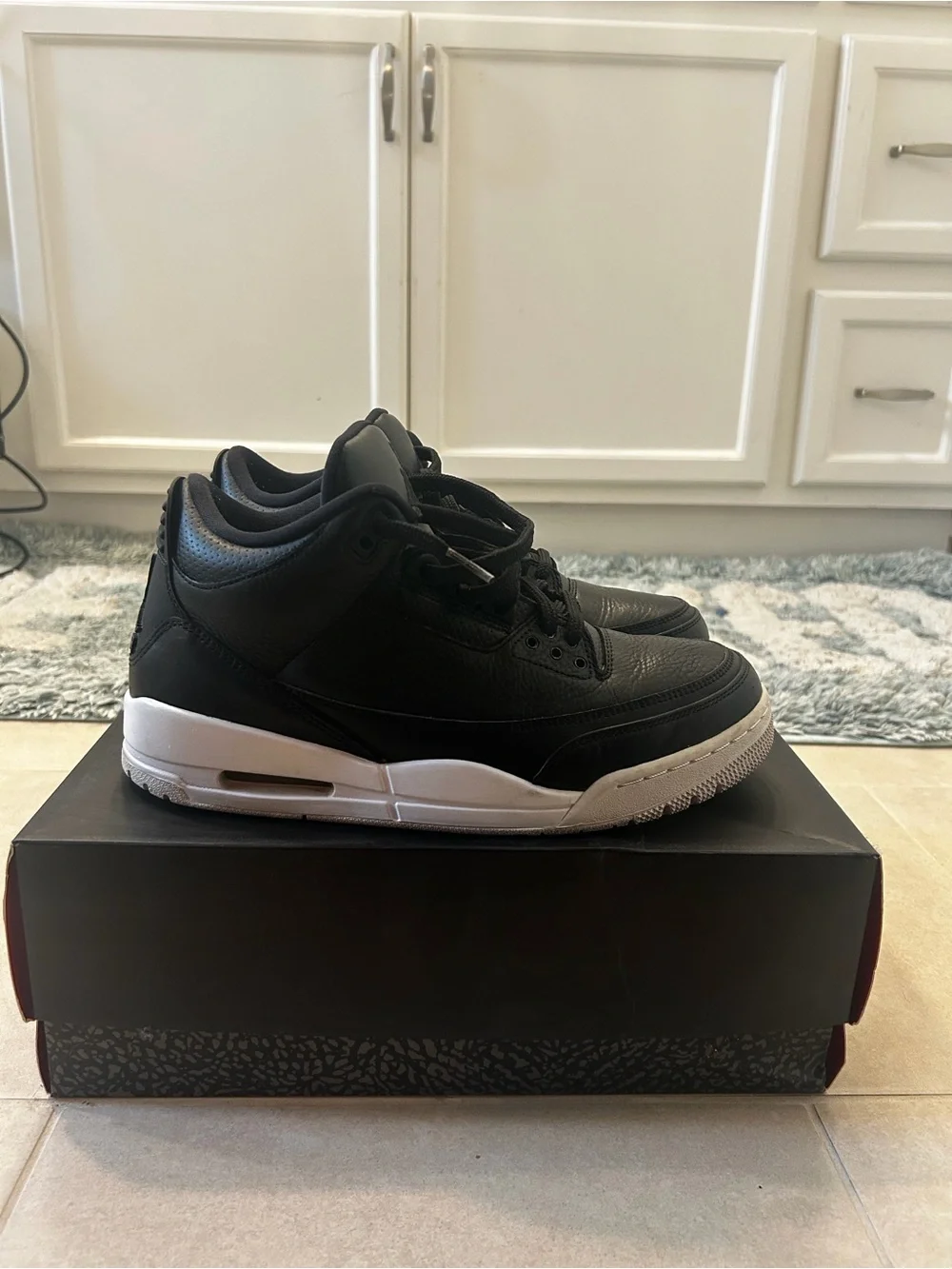 Air Jordan 3s size 9